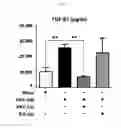 Fig. 31 - KAI1 PROTEIN CONTROLLING CELL CYCLE OF HEMATOPOIETIC STEM CELL, AND USE THEREOF