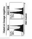 Fig. 34 - KAI1 PROTEIN CONTROLLING CELL CYCLE OF HEMATOPOIETIC STEM CELL, AND USE THEREOF