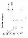 Fig. 40 - KAI1 PROTEIN CONTROLLING CELL CYCLE OF HEMATOPOIETIC STEM CELL, AND USE THEREOF
