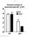 Fig. 44 - KAI1 PROTEIN CONTROLLING CELL CYCLE OF HEMATOPOIETIC STEM CELL, AND USE THEREOF