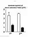 Fig. 45 - KAI1 PROTEIN CONTROLLING CELL CYCLE OF HEMATOPOIETIC STEM CELL, AND USE THEREOF