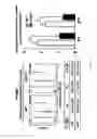 Fig. 46 - KAI1 PROTEIN CONTROLLING CELL CYCLE OF HEMATOPOIETIC STEM CELL, AND USE THEREOF