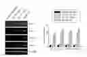 Fig. 01 - Method for enhancing insulin like growth factor 1 receptor expression of mesenchymal stem cell, method for isolating mesenchymal stem cell, and use of mesenchymal stem cell