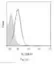 Fig. 04 - Method for enhancing insulin like growth factor 1 receptor expression of mesenchymal stem cell, method for isolating mesenchymal stem cell, and use of mesenchymal stem cell