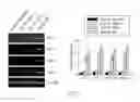 Fig. 16 - Method for enhancing insulin like growth factor 1 receptor expression of mesenchymal stem cell, method for isolating mesenchymal stem cell, and use of mesenchymal stem cell