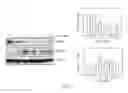 Fig. 19 - Method for enhancing insulin like growth factor 1 receptor expression of mesenchymal stem cell, method for isolating mesenchymal stem cell, and use of mesenchymal stem cell