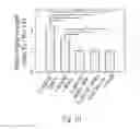 Fig. 28 - Method for enhancing insulin like growth factor 1 receptor expression of mesenchymal stem cell, method for isolating mesenchymal stem cell, and use of mesenchymal stem cell