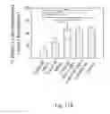 Fig. 30 - Method for enhancing insulin like growth factor 1 receptor expression of mesenchymal stem cell, method for isolating mesenchymal stem cell, and use of mesenchymal stem cell