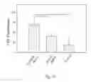 Fig. 40 - Method for enhancing insulin like growth factor 1 receptor expression of mesenchymal stem cell, method for isolating mesenchymal stem cell, and use of mesenchymal stem cell