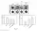 Fig. 43 - Method for enhancing insulin like growth factor 1 receptor expression of mesenchymal stem cell, method for isolating mesenchymal stem cell, and use of mesenchymal stem cell