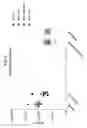 Fig. 02 - Compositions comprising bacterial strains