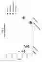 Fig. 03 - Compositions comprising bacterial strains