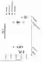Fig. 05 - Compositions comprising bacterial strains