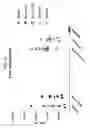 Fig. 12 - Compositions comprising bacterial strains