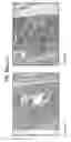 Fig. 64 - Compositions comprising bacterial strains