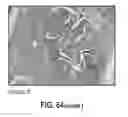 Fig. 65 - Compositions comprising bacterial strains