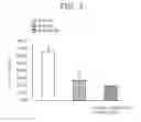 Fig. 04 - Suppressive agent for rheumatoid arthritis, prophylactic agent for rheumatoid arthritis, therapeutic agent for rheumatoid arthritis, and food for suppressing rheumatoid arthritis