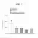 Fig. 08 - Suppressive agent for rheumatoid arthritis, prophylactic agent for rheumatoid arthritis, therapeutic agent for rheumatoid arthritis, and food for suppressing rheumatoid arthritis