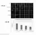 Fig. 07 - Method for treating eye diseases with a fusion protein of a tissue-penetrating peptide and anti-vascular endothelial growth factor