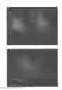Fig. 08 - C-type natriuretic peptide agent for the treatment of alopecia