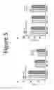 Fig. 06 - CMLCK GENE TRANSFER
