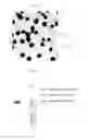 Fig. 02 - Enzyme-treated milk product, preparation method thereof, composition, and products