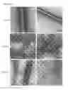 Fig. 13 - Compositions for remodeling extracellular matrix and methods of use thereof