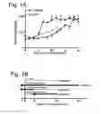 Fig. 02 - COMPOSITIONS AND METHODS RELATED TO GRAFT VERSUS HOST DISEASE AND TREATMENTS THEREOF