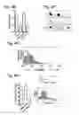 Fig. 07 - COMPOSITIONS AND METHODS RELATED TO GRAFT VERSUS HOST DISEASE AND TREATMENTS THEREOF