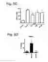Fig. 09 - COMPOSITIONS AND METHODS RELATED TO GRAFT VERSUS HOST DISEASE AND TREATMENTS THEREOF