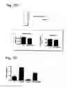 Fig. 13 - COMPOSITIONS AND METHODS RELATED TO GRAFT VERSUS HOST DISEASE AND TREATMENTS THEREOF