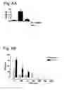 Fig. 14 - COMPOSITIONS AND METHODS RELATED TO GRAFT VERSUS HOST DISEASE AND TREATMENTS THEREOF