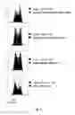 Fig. 04 - A Novel Complex Comprising A Cell Penetrating Peptide, A Cargo And A TLR Peptide Agonist