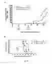 Fig. 45 - A Novel Complex Comprising A Cell Penetrating Peptide, A Cargo And A TLR Peptide Agonist