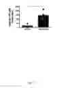 Fig. 52 - A Novel Complex Comprising A Cell Penetrating Peptide, A Cargo And A TLR Peptide Agonist