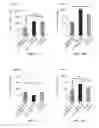 Fig. 14 - Vaccine combination against multiple dengue virus serotypes and preparation and application thereof