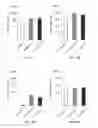 Fig. 19 - Vaccine combination against multiple dengue virus serotypes and preparation and application thereof