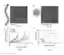Fig. 08 - Cancer immunotherapy using virus particles