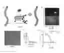 Fig. 09 - Cancer immunotherapy using virus particles