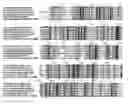 Fig. 01 - Versatile influenza virus vaccine composition