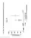 Fig. 67 - Vaccine compositions having improved stability and immunogenicity
