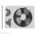 Fig. 86 - Vaccine compositions having improved stability and immunogenicity
