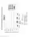 Fig. 99 - Vaccine compositions having improved stability and immunogenicity