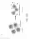 Fig. 63 - Biodegradable thermo-responsive polymers and uses thereof
