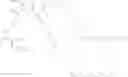 Fig. 22 - Targeting aminoacid lipids