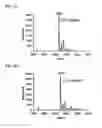 Fig. 06 - CALICHEAMICIN CONSTRUCTS AND METHODS OF USE