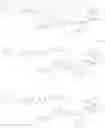 Fig. 41 - CALICHEAMICIN CONSTRUCTS AND METHODS OF USE