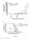 Fig. 45 - A Novel Complex Comprising A Cell Penetrating Peptide, A Cargo And A TLR Peptide Agonist For Treatment Of Colorectal Cancer