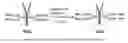 Fig. 06 - Antibody-drug conjugates