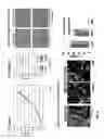 Fig. 03 - Biological complexes and methods for using same